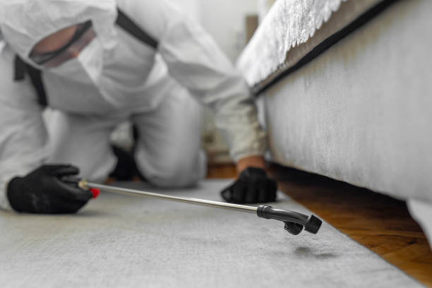 Professional Wasp Control technician working in Guthrie Center, IA